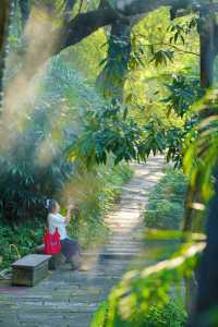 美哭！沒有哪個公園能比它更懂拿捏春和景明了