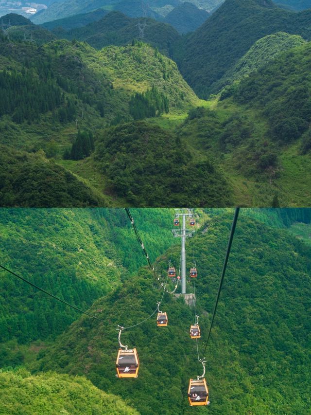 探索貴州六盤水梅花山，美不勝收！