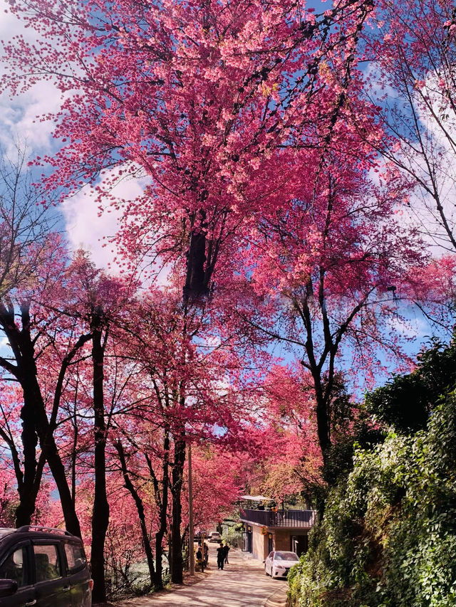 雲南，大理美得可以封神了