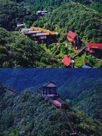 梅花山給你一個19℃的夏天你會來嗎