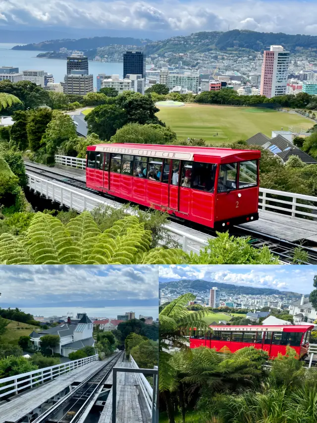Wellington Cable Car: A Must-See Century-Old Icon