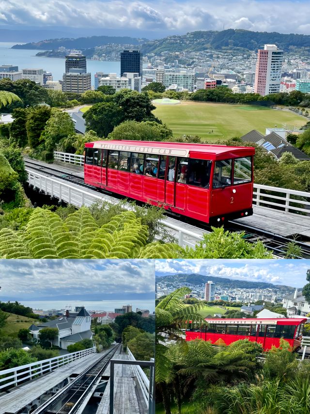 新西蘭威靈頓，必打卡的百年纜車