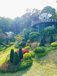 廣州攻略｜花城賞花熱，雲蘿植物園打卡多巴胺