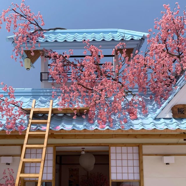 解鎖深圳新花海🎐上房揭瓦的粉色小京都🌸