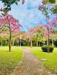 誰還不知道順德順峰山公園我會傷心的OK？
