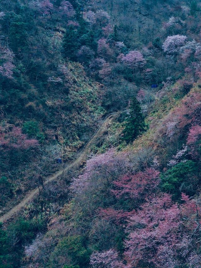小長假遊杭州 2日精華攻略速覽