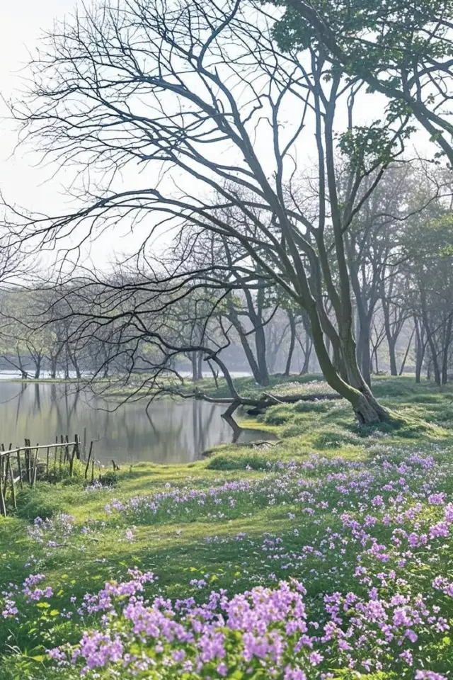 神仙級親子照！西湖邊竟把娃拍進古詩裡的春天