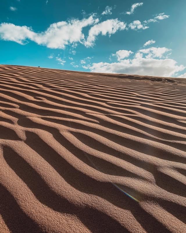 Australia · Mildura | Perry Sandhills: A Timeless Wonder on Red Earth!