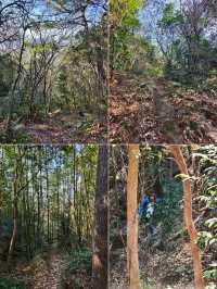 寧波：地鐵直達這條「野路子」！