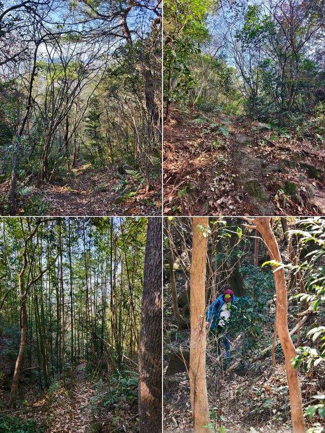 寧波：地鐵直達這條「野路子」！