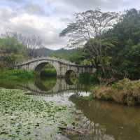 🚶‍♂️【羅湖新玩法！東湖公園郊野徑】  
