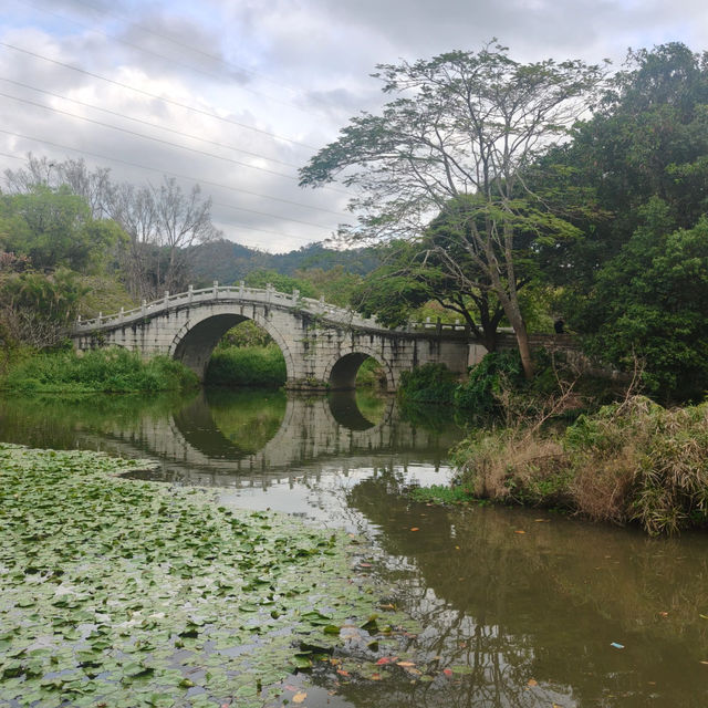 🚶‍♂️【羅湖新玩法！東湖公園郊野徑】  