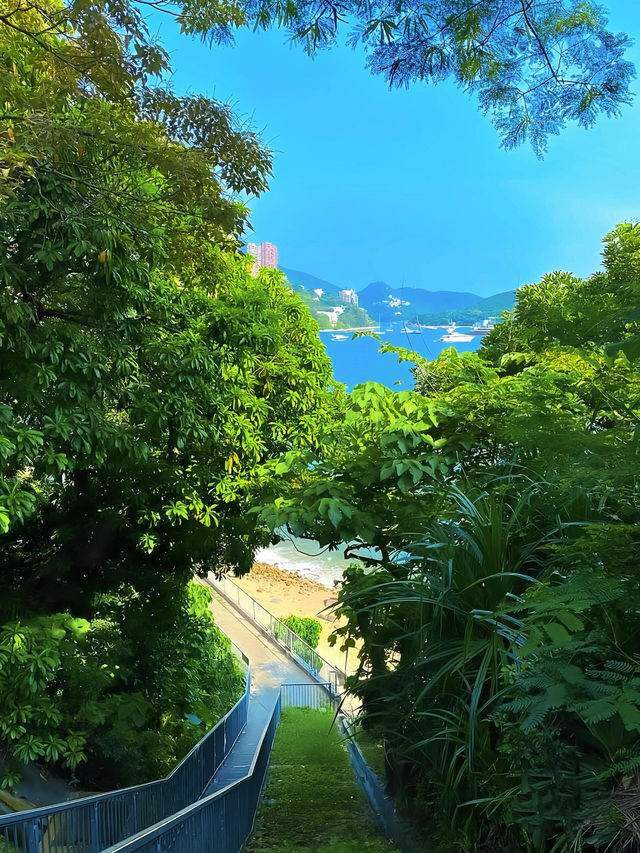 我心中No.1嘅Seawalk路線！