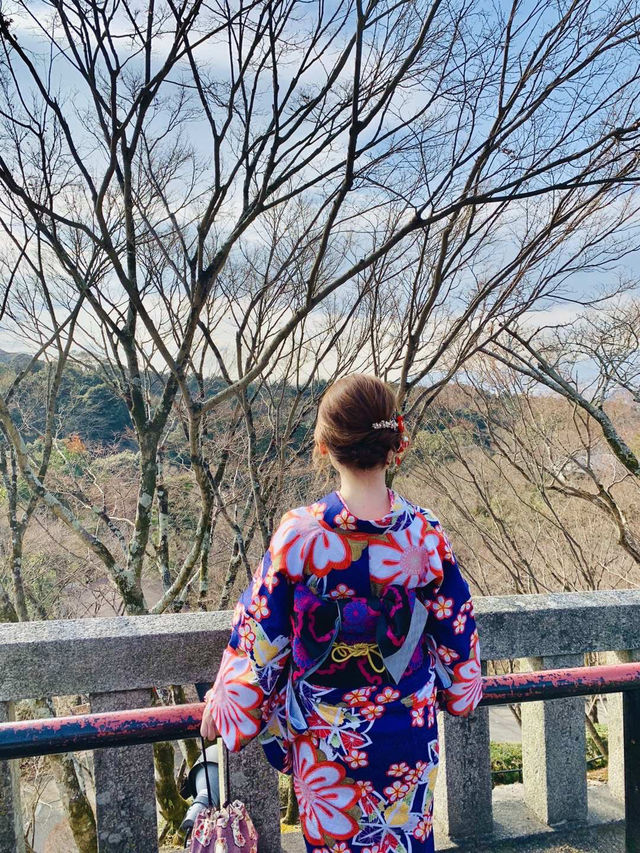 日本賞櫻🌸多條路線攻略請收好