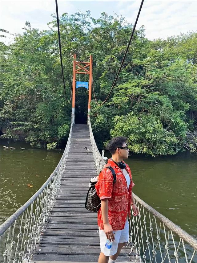 野生動物園餵老虎🐅｜做一天動物園長