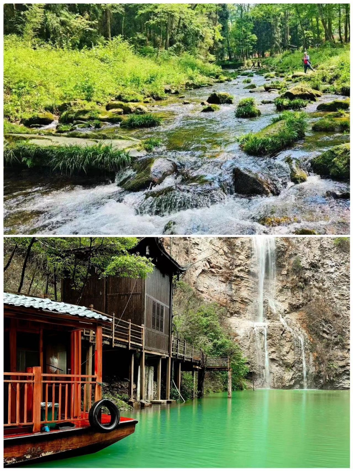 Amazon.co.jp: か 中国語 湖南省 常徳市 桃源郷国家森林公園