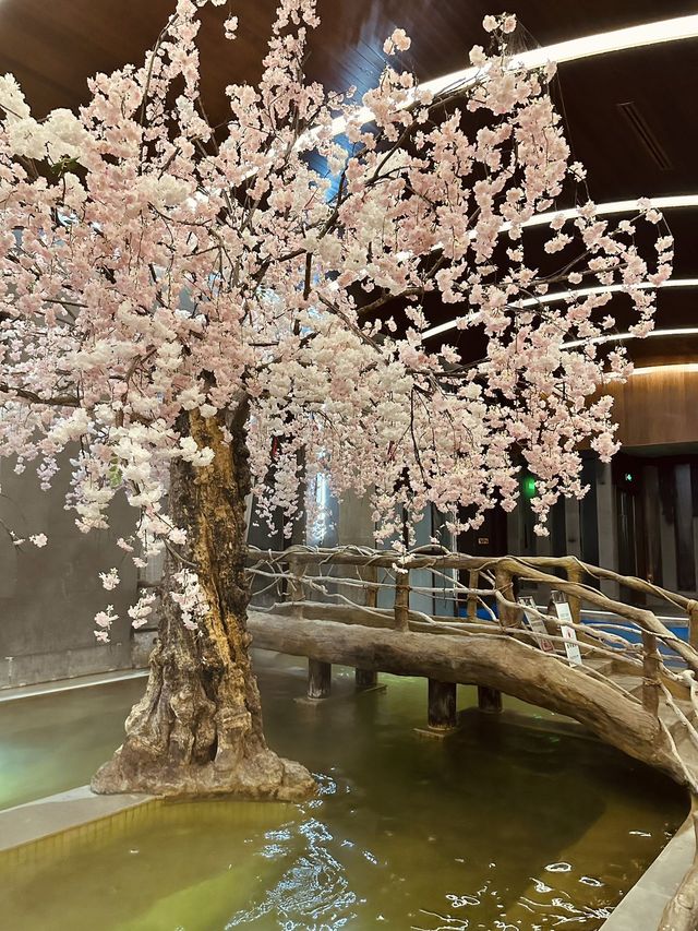 不一樣的長白山度假體驗