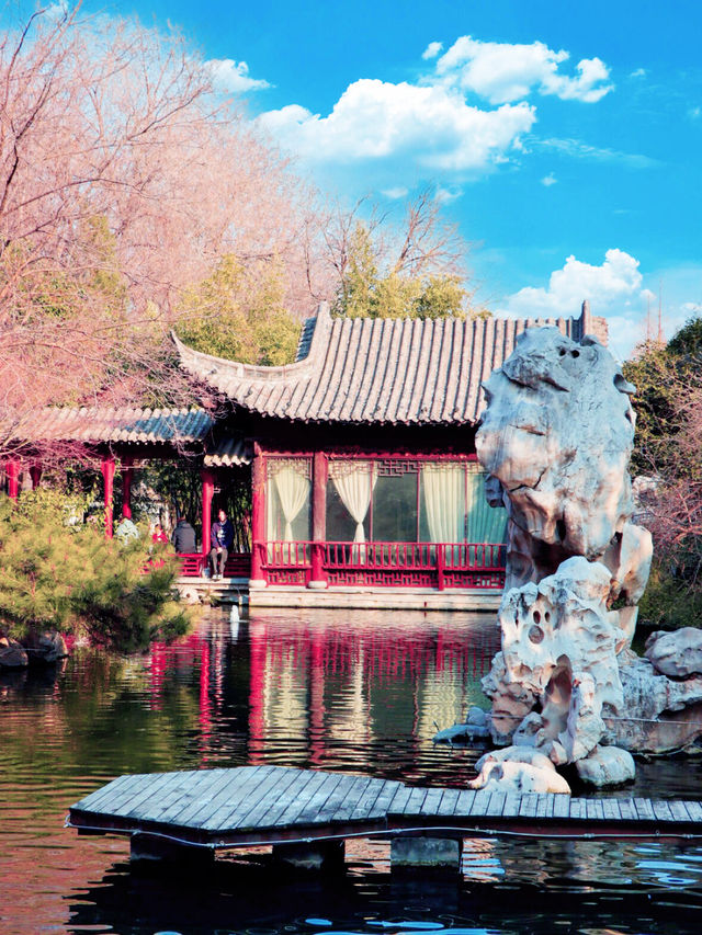 鄭州｜紫金山公園｜春日限定｜梅櫻共舞嘅浪漫奇遇