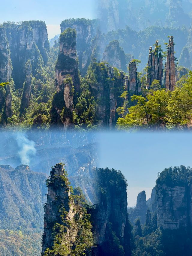 張家界。一個去了還想去的地方