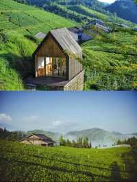 龍形沖民宿，躺看茶山星空