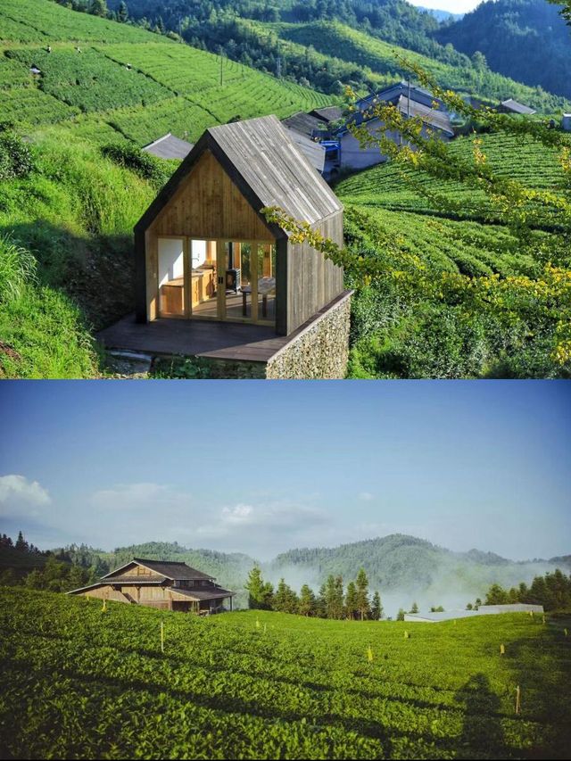 龍形沖民宿，躺看茶山星空