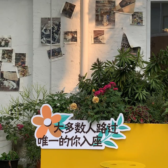 西坊大院🍃廣州版有風的地方4.8無濾鏡實拍