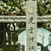 ⛩️【福岡光雲神社｜被兔子與繪馬治癒的森系小秘境】