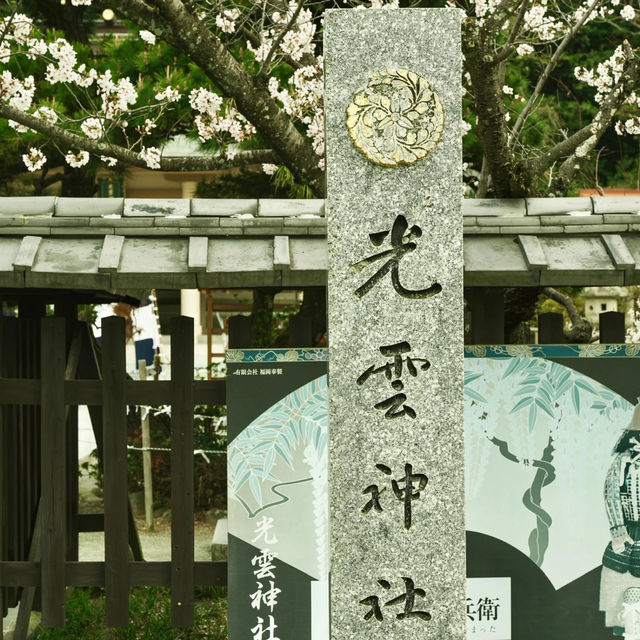 ⛩️【福岡光雲神社｜被兔子與繪馬治癒的森系小秘境】