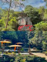 杭州小九寨——大奇山國家森林公園保姆級攻略
