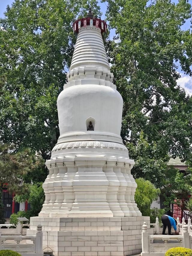 昆明世博園