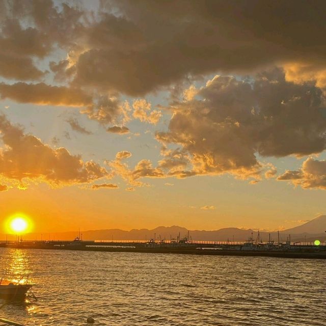 東京旅行打卡｜這些景點不能錯過！🇯🇵