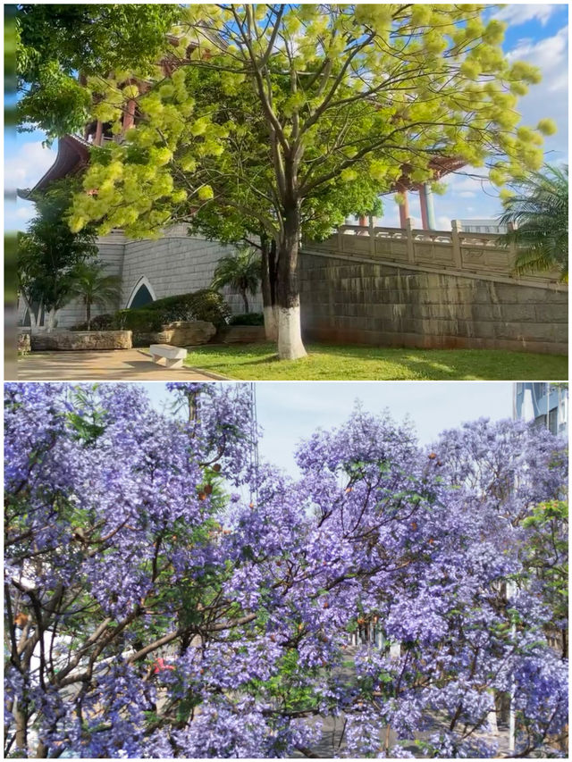 五一反向出遊 | 7個冷門寶藏城市攻略