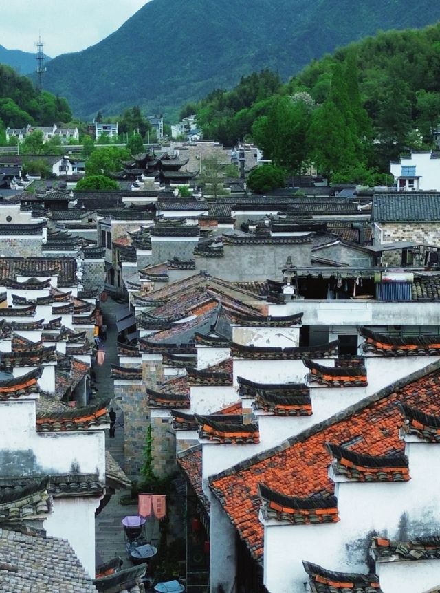 浙江呢座山，少人過黃山，仲更加刺激！