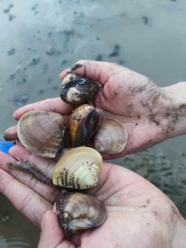 喺深圳帶住細路仔奔赴一場羅馬假日嘅浪漫