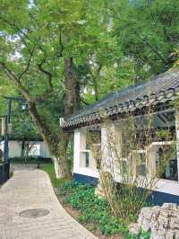 合肥隱世美學｜包公園浮莊裡的水墨秘境