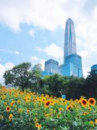 深圳的寶子們有福啦！市中心居然藏著一片免費向日葵花海🌻地鐵直達超級方便，懶人、上班族、學生黨都能輕鬆衝！