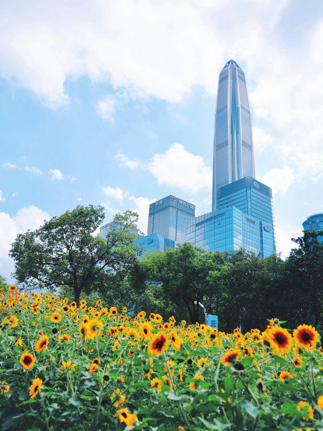 深圳的寶子們有福啦！市中心居然藏著一片免費向日葵花海🌻地鐵直達超級方便，懶人、上班族、學生黨都能輕鬆衝！
