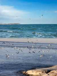 秦皇島，一座美麗嘅避暑城市