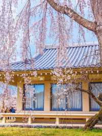 京都2日遊｜人均2千+輕鬆玩轉