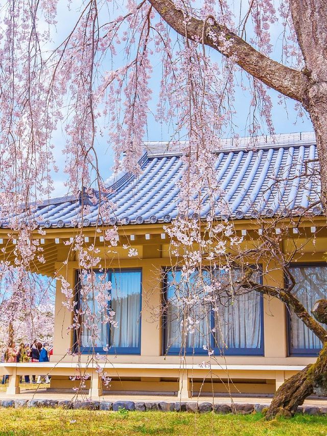 京都2日遊｜人均2千+輕鬆玩轉