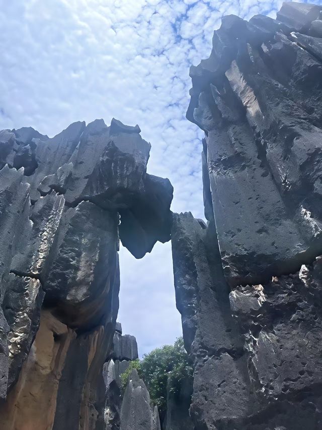 石林之美，一眼萬年