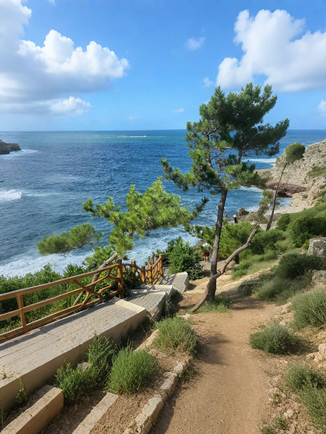 絕對不容錯過的威海旅行寶典直接照搬！
