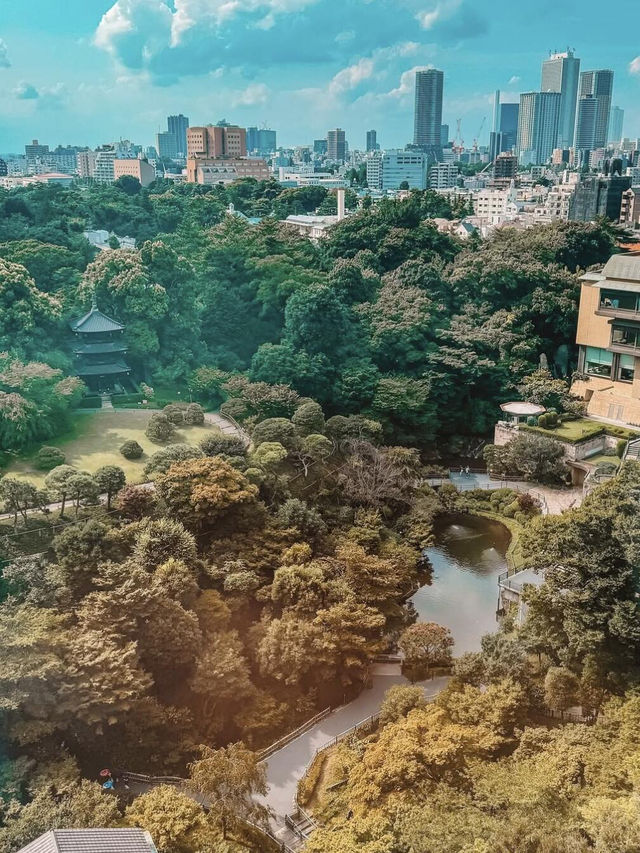 東京都心の世外桃源✨ 椿山莊酒店