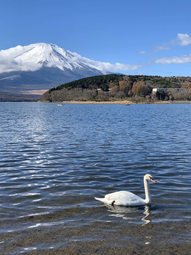 富士山影到人生相！最愛呢個位