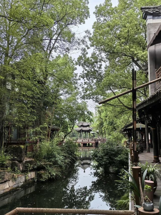 住進森林童話樹屋！原來童話裏嘅綠野仙蹤