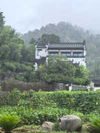 山知道我的名字，只是忘了告訴你…