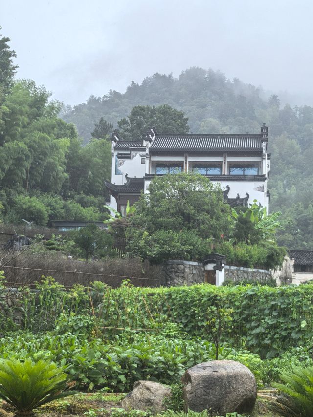 山知道我的名字，只是忘了告訴你…