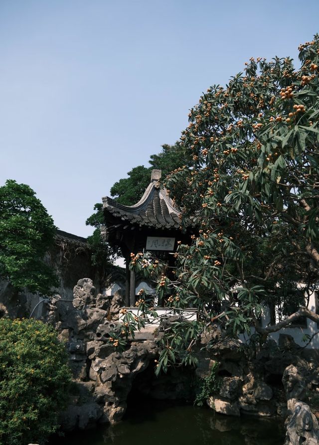 好多明星拍嘅電視劇據講都喺呢度取景