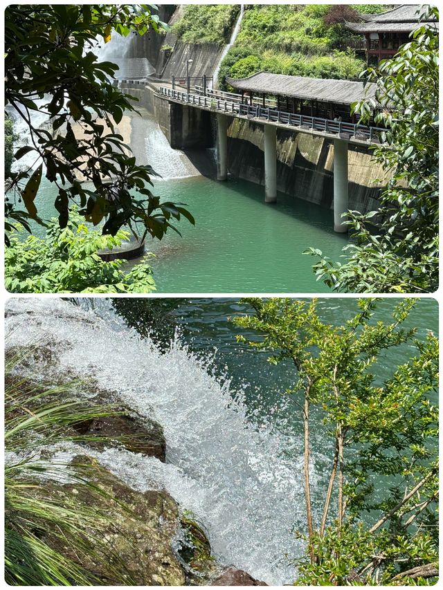 浙江小眾秘境！夏天20℃嘅「地下仙境」畀我搵到啦