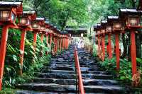 日航員工推薦｜京都，夏日避暑正確打開方式